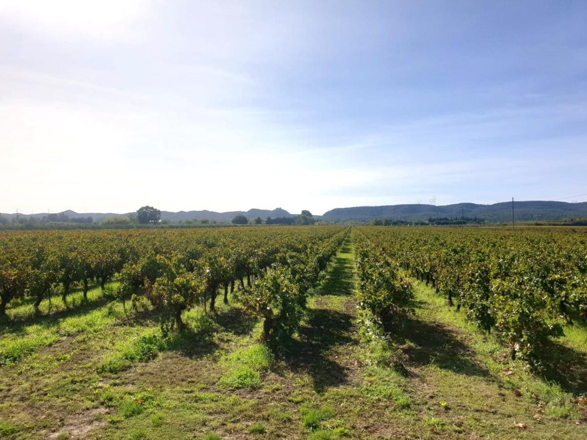 Domaine De Sevanes Saint-Paul-les-Fonts Eksteriør billede